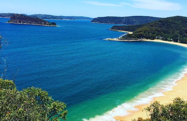 Central Coast Private Tour From Sydney, with Australian Reptile Park Option