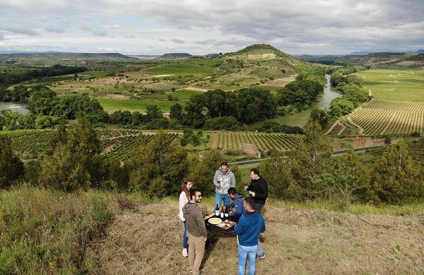 Private Vineyards Tour in San Vicente de la Sonsierra