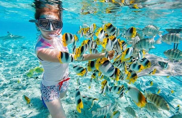 Snorkeling At Blue lagoon And Hidden waterfall