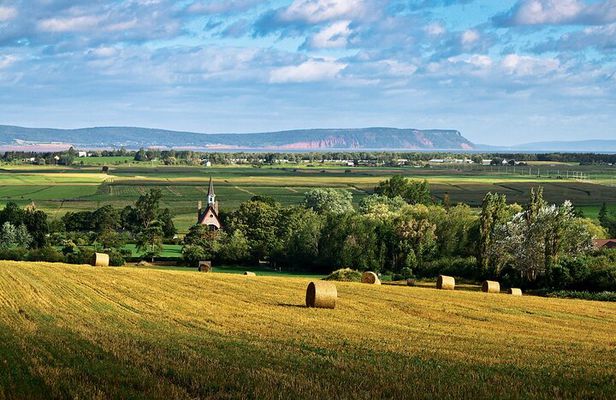 Half-Day Small-Group Tour of Annapolis Valley