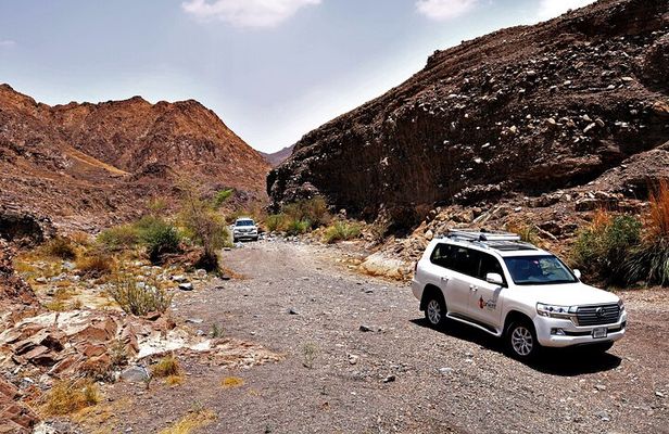Private 4x4 Desert Drive, Wadi Shawaka Pool Visit with Lunch box