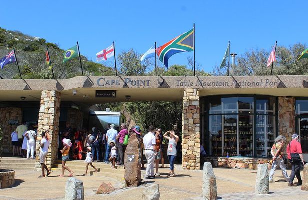 Full Day visit to Cape Point Cape of Good Hope for Special needs from Cape Town 