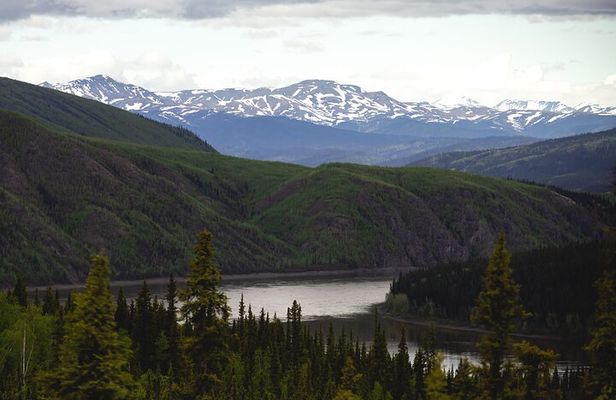 Arctic Circle Day Tour