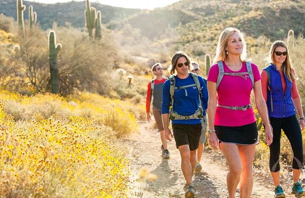 Sonoran Desert Hiking Tour