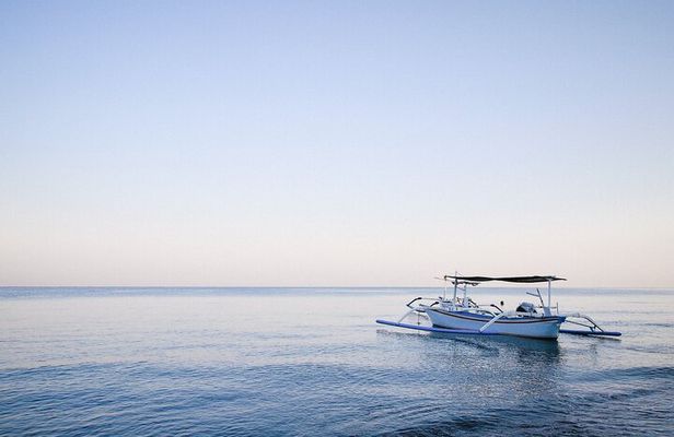 Lovina Dolphin Watching, Snorkeling and Waterfall Tour in Bali