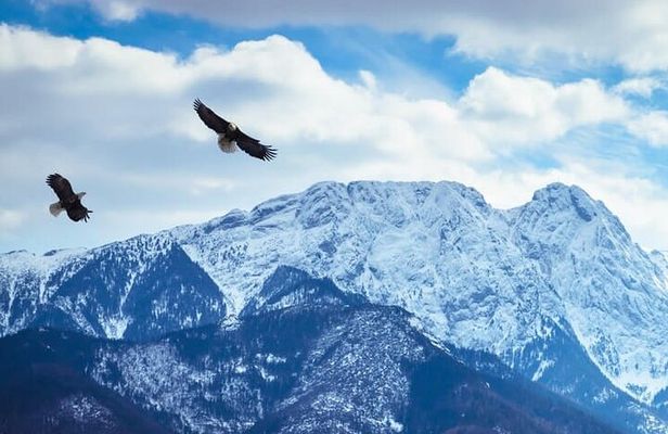 Zakopane and Chocholow Thermal Baths Tour from Krakow