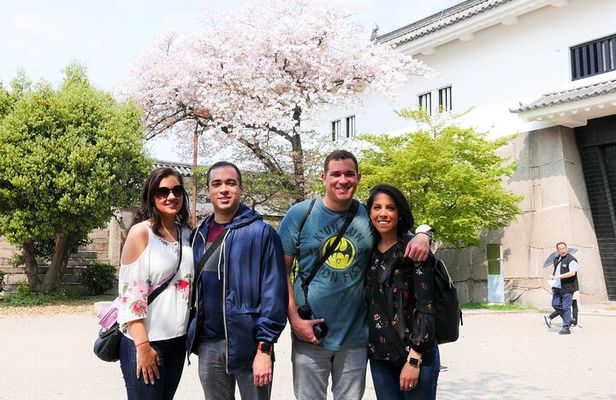 Osaka Castle and Sumiyoshi Taisha Shrine Private Half-Day Tour