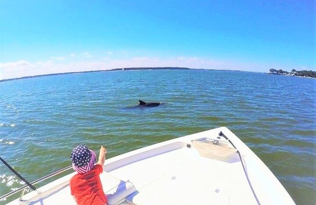 Private Hilton Head Dolphin Tour with Waterfront Dining Stop
