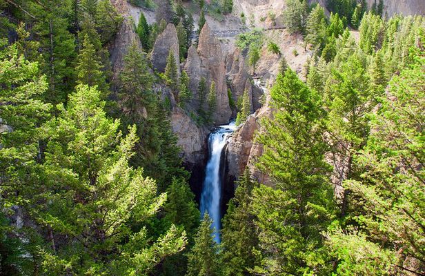 Yellowstone Full Day Private Tour