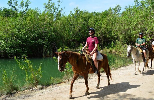 STROLL the Jungle Trails on a HORSE. Includes Transportation and