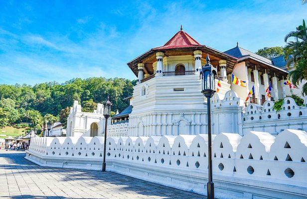 Colombo to Kandy Day Tour 
