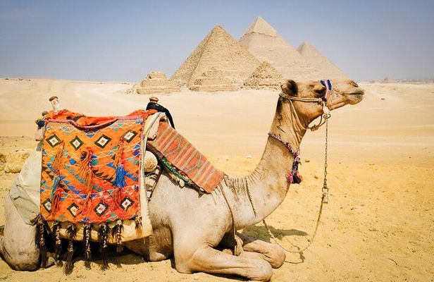 Cairo: 3 Private Full-Day Tours to Cairo Top Attractions+One Airport Transfer
