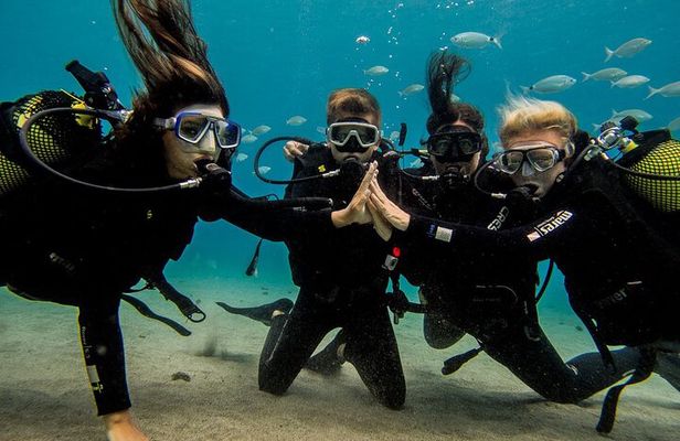 Discover Scuba Diving
