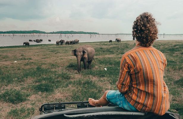 Colombo to Trincomalee Shuttle & Safari Drive