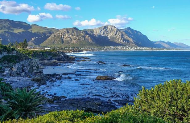 4 Day Garden Route & Addo National Park Tour from Cape Town