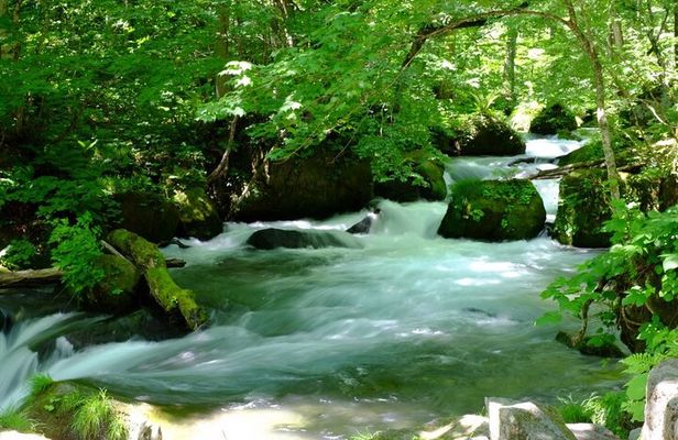 Oirase Gorge and Lake Towada Day Hike with Government-Licensed Guide