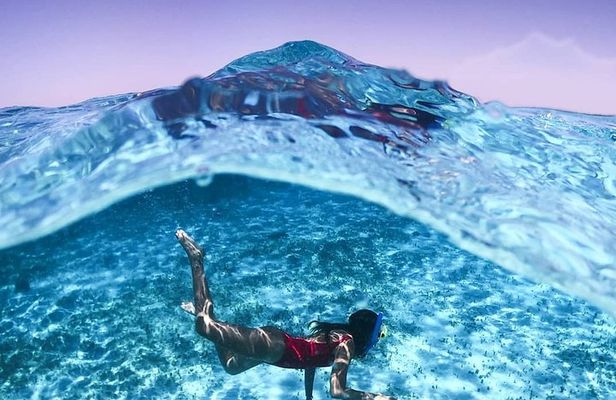 Full-Day El Cielo Snorkel Tour in Cozumel with Transportation and Lunch