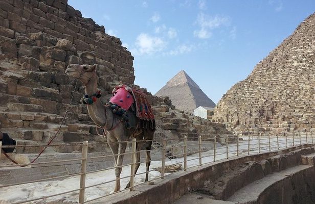 Turning into Pharaoh King while riding a Camel