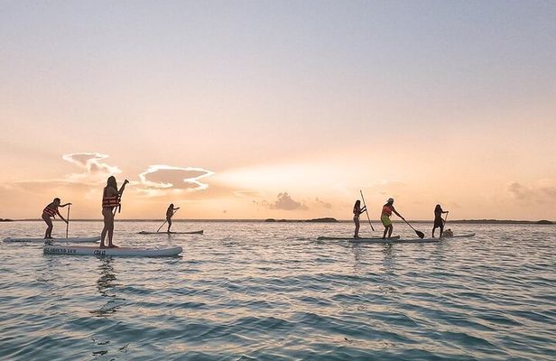 Sunrise by Paddle or Kayak with Floating Picnic