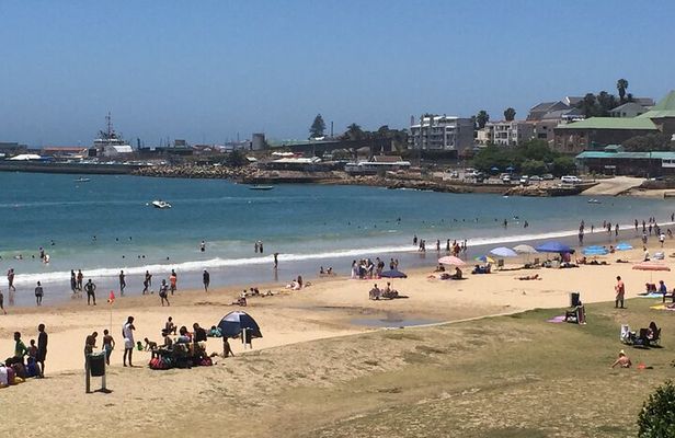 Mosselbay Day tour