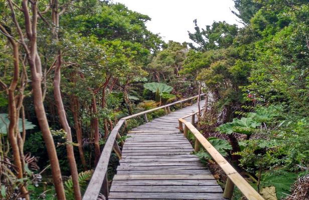 Chiloe National Park and Chonchi "Darwin Route"