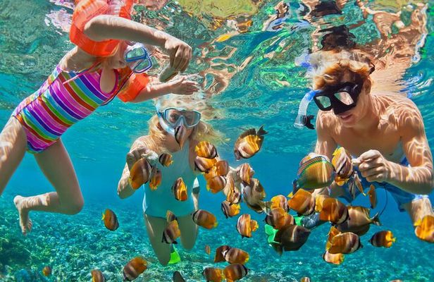 Blue Lagoon Snorkeling - Cave Waterfall - And More - All Included + FREE Wi-Fi