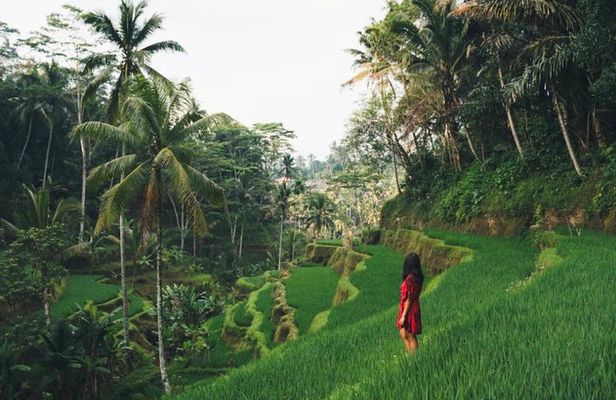 Bali Highlights : Nature, Waterfall, Rice Terraces and Volcano