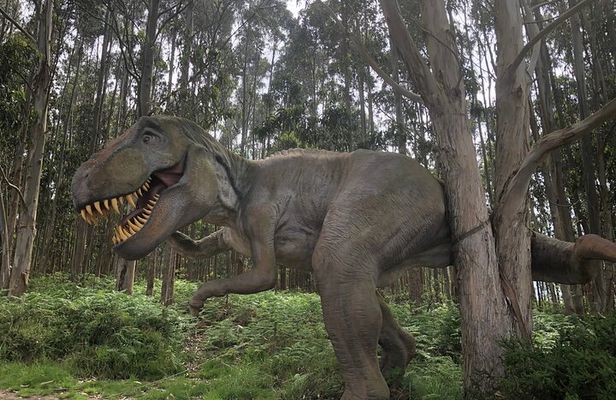 Walking with Dinosaurs along Asturias' coast