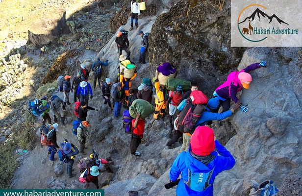 Kilimanjaro Climbing Umbwe Route