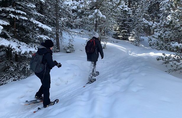 Snowshoeing Adventure in the Rocky Mountains Close to Denver