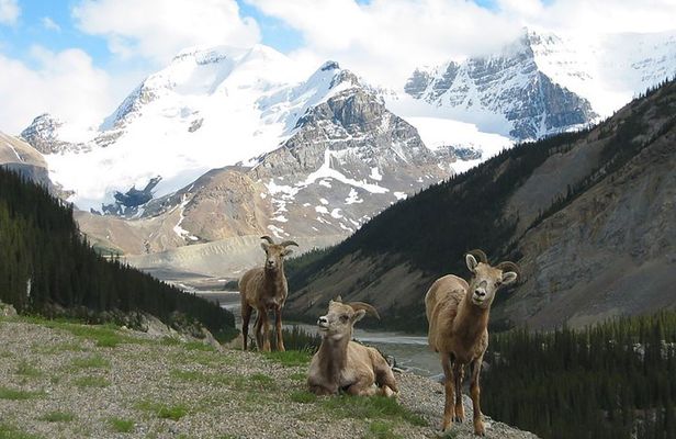 Private Tour: Majestic Mountains PHOTO SAFARI Drive - 4H