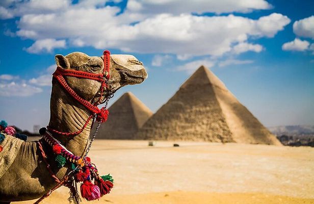 8 Days,Cairo,Alexandria,Aswan,Luxor,Cruise, Abu Simbel,From Cairo By Plane