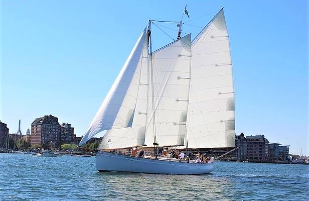 Day Sail around Boston