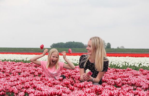 Keukenhof & Zaanse Schans (Best of Holland with windmill) Guided Tour with local