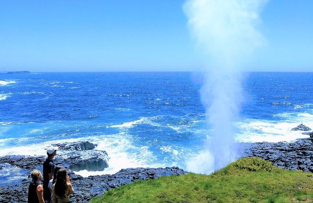 Erupting Blowholes and Ancient Rainforests SOUTH COAST OF SYDNEY PRIVATE TOUR