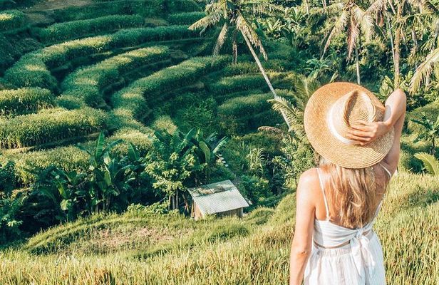 Bali Full-Day Sightseeing Trip with Lunch
