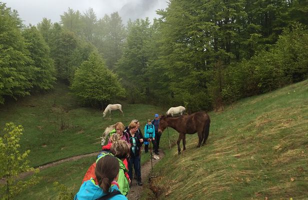 5-Days Hiking Tour to the north of Albania