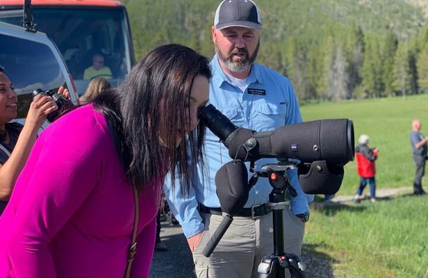 Private Yellowstone Wildlife Sightseeing Tour