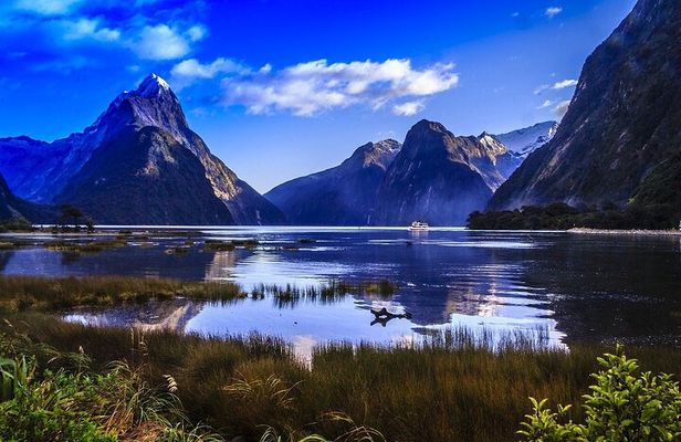 Premium Milford Sound Tour Including Cruise, Flight & Lunch