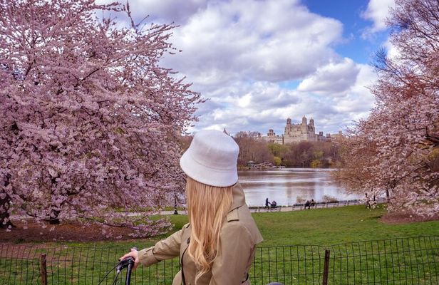 Best of Central Park Bike Tour