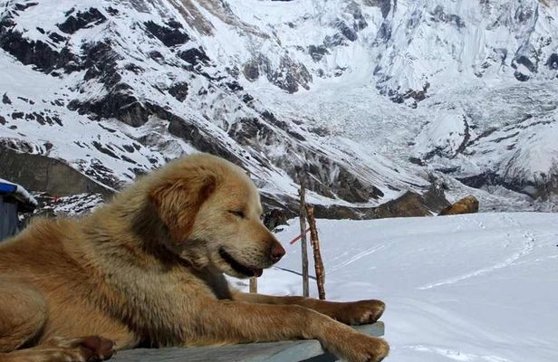 Annapurna Base Camp with Poon hill 9-Day Trek Itinerary