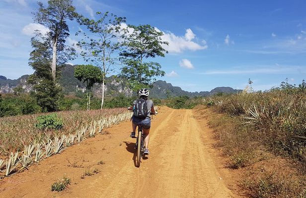 Krabi Countryside Eco Cycling Tour - Multiple Trails