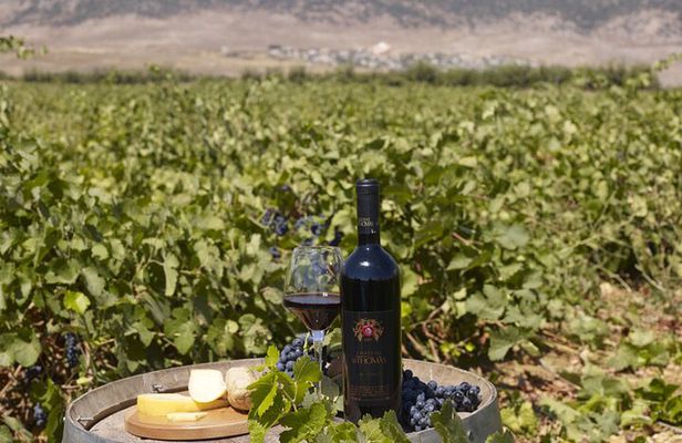 Private Wine Tasting Day Tour from Beirut