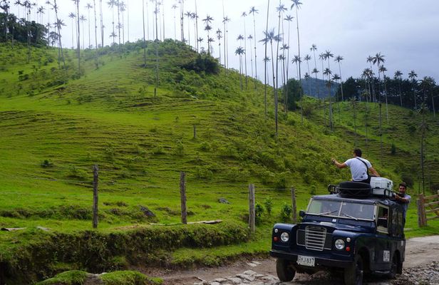 Full Day Tour of Cocora Valley, Salento, and Filandia Coffee Town (from Salento)