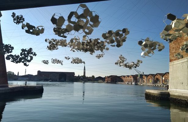 Private tour Biennale 2025: Intelligens, natural, artificial