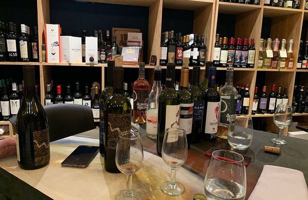 Argentinian Private Premium Wine Tasting Live+Guided Walking tour