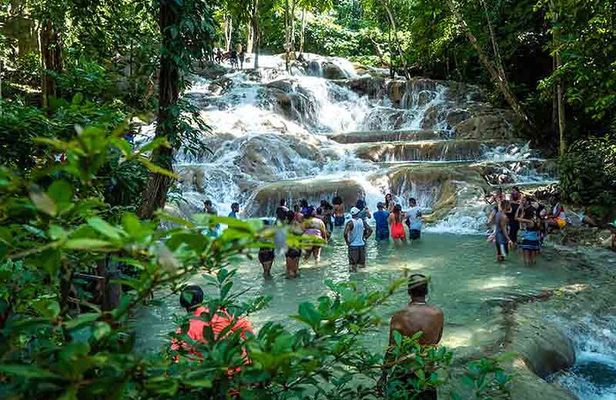 Dunn's River Falls plus Luminous Lagoon (Glistening Water)Private Tour