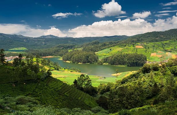 Touristic Highlights of Ooty (Guided Full Day City Sightseeing Tour by Car)