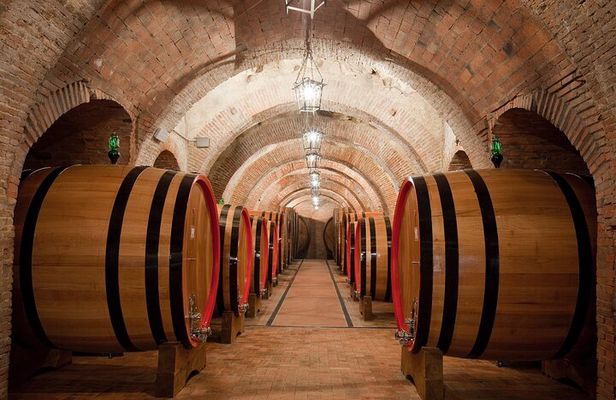 Montepulciano: Winery Tour & Tasting Experience