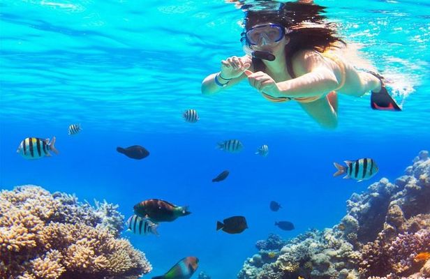 Live this unique snorkeling experience. El Cielo in Cozumel a magical tour.